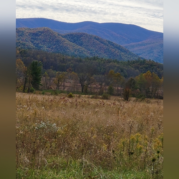 Welcome! - Picture 7 of 10